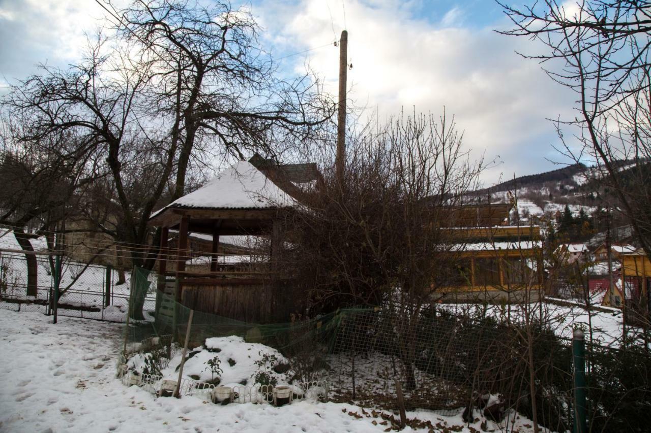 Zabava Διαμέρισμα Γιαρέμτσε Εξωτερικό φωτογραφία